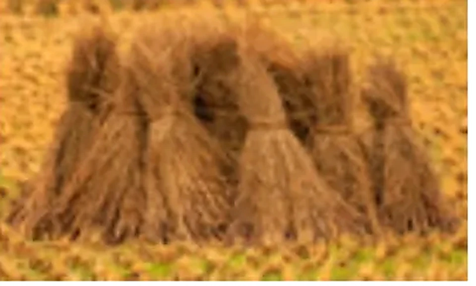 Paddy Straw used as feedstock for BioCNG production